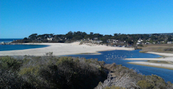 Carmel Lagoon